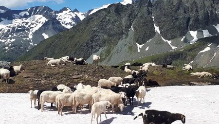 Alpenüberquerung – Watzmann – Drei Zinnen: Der Geheimtipp