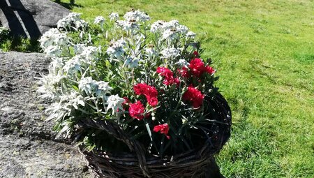 Alpenüberquerung – Garmisch – Meran: Auf ruhigen Pfaden