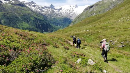 Alpenüberquerung – Kitzbühel – Drei Zinnen: Die Genuss-Tour