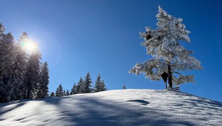 Österreich – Schneeschuhwandern in der Wildschönau