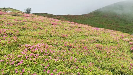 Österreich, Italien – Karnischer Höhenweg