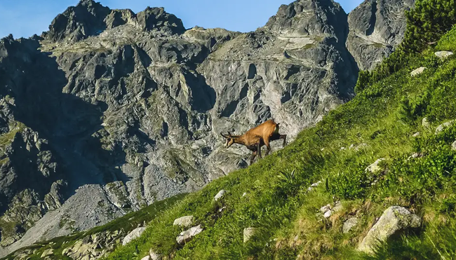Slowakei – Trekkingreise über die Hohe Tatra