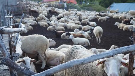 Albanien – High Scardus Trail