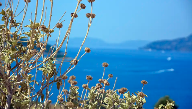 Trekkingrad Albanien - Im Land der Skipetaren