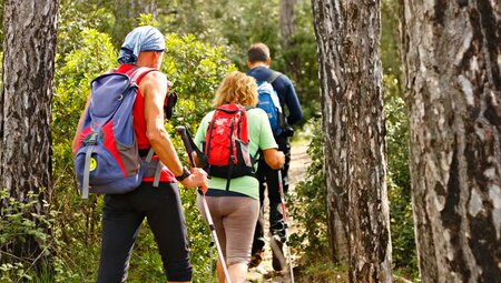 Kroatien – Dalmatien: Plitvicer Seen und Adria