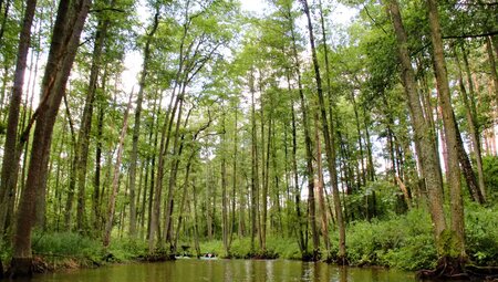 Polen – Masuren & Bialowieza-Nationalpark