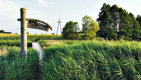 Polen – Masuren & Bialowieza-Nationalpark