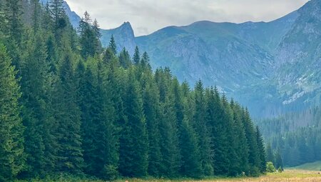 Polen, Slowakei – Hohe Tatra & Pieninen-Nationalpark