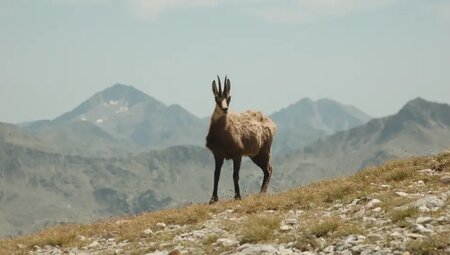 Bulgarien – Berge des Balkans