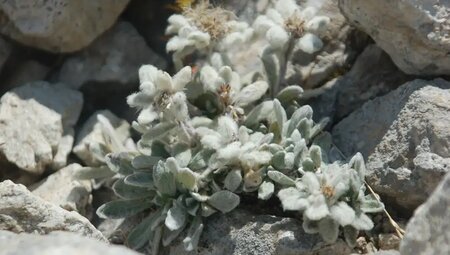 Bulgarien – Berge des Balkans