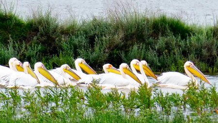 Rumänien – Aktiv durch Donaudelta und Siebenbürgen