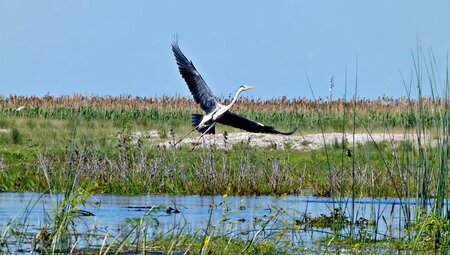 Rumänien – Aktiv durch Donaudelta und Siebenbürgen