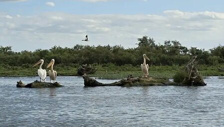 Rumänien – Aktiv durch Donaudelta und Siebenbürgen