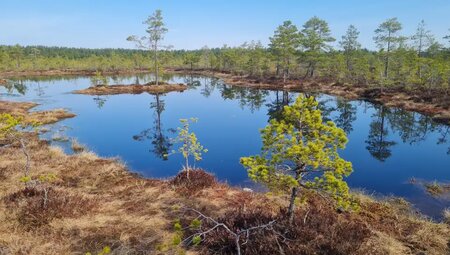 Baltikum – Naturlandschaften & Hauptstädte