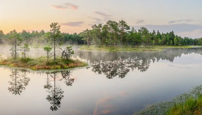 Baltikum – Naturlandschaften & Hauptstädte