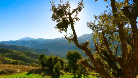 Marokko – Überschreitung des Djebel Mgoun, 4068 m