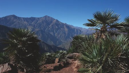 Marokko – Aufstieg zum höchsten Berg Nordafrikas