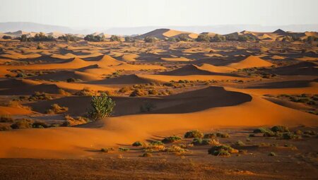 Marokko – Trekking im Atlasgebirge und der Sahara