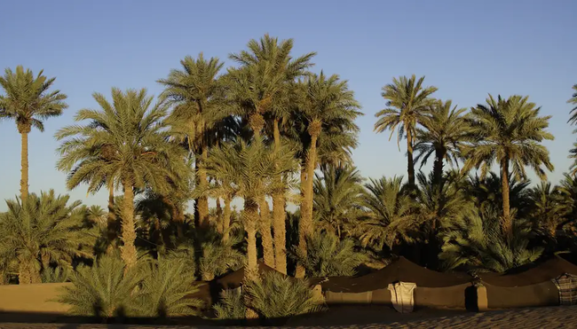 Marokko - Mit Beduinen die Wüste entdecken