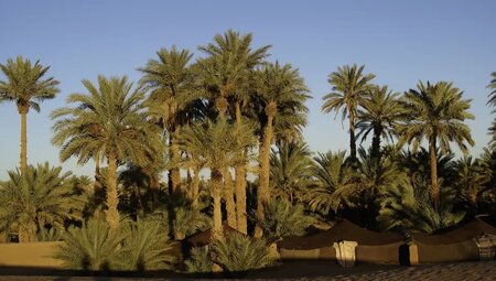 Marokko - Mit Beduinen die Wüste entdecken