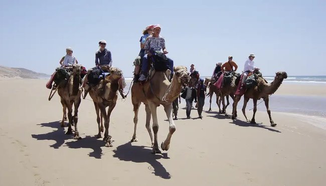 Marokko – Kameltrekking entlang des Atlantiks