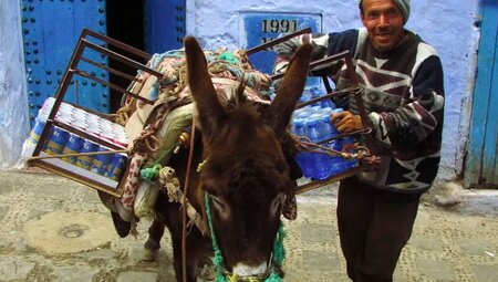 Marokko – Wilder Norden & das Erbe von Al-Andalus