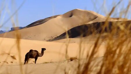 Algerien – Sahara pur: Tassili nAjjer & Tadrart