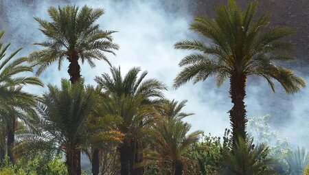 Algerien - Rendezvous mit der Sahara