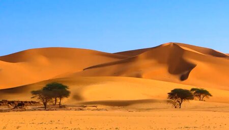 Algerien – Sahara-Trekking mit Nomaden