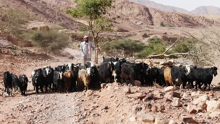 Jordanien - Glanzlichter