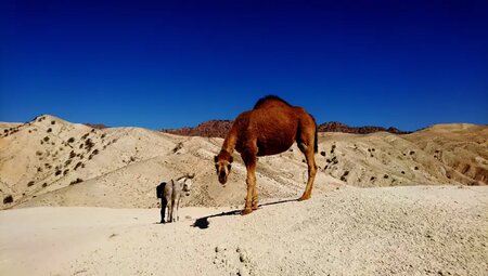 Jordanien – Petra, Wadi Rum & Totes Meer