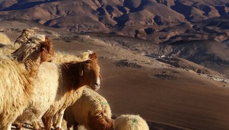 Jordanien – MTB Reise vom Toten Meer zum Roten Meer