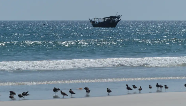 Oman - Höhepunkte zu Fuß