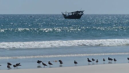 Oman - Höhepunkte zu Fuß