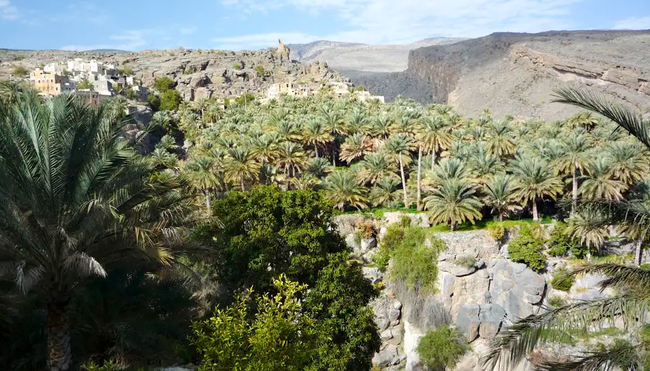 Oman – Wanderreise durch Wadis, Dünen & Gebirge