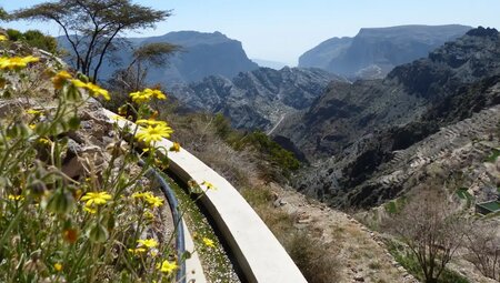 Oman – Vom Jebel Shams in die Wahiba Sands