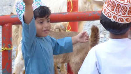 Oman – Vom Jebel Shams in die Wahiba Sands