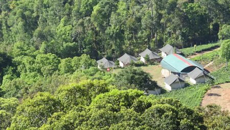 Indien – Trekkingreise in Kerala