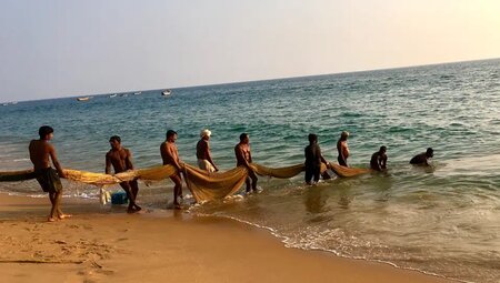 Indien – Trekkingreise in Kerala