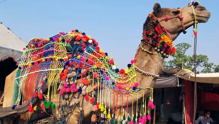 Indien - Im Reich der Maharajas