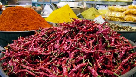 Indien – Wanderreise von Delhi bis zum Taj Mahal