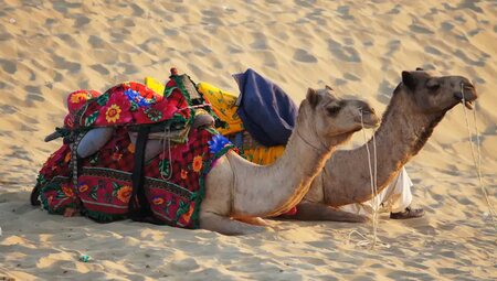 Indien - Im Reich der Maharajas