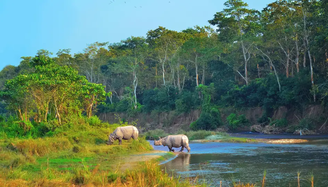 Nepal – Into The Wild Eco Resort im Chitwan Nationalpark (Reisebaustein)