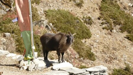 Nepal – Von Gokyo über Cho La zum Kala Pattar