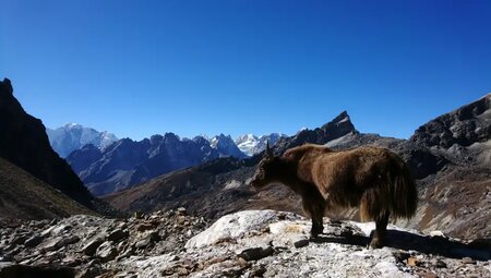 Nepal – Khumbu-Durchquerung