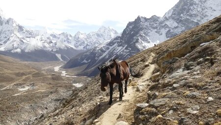 Nepal – Three Passes Trek