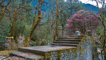 Nepal – Annapurna Circuit Lodge-Trek