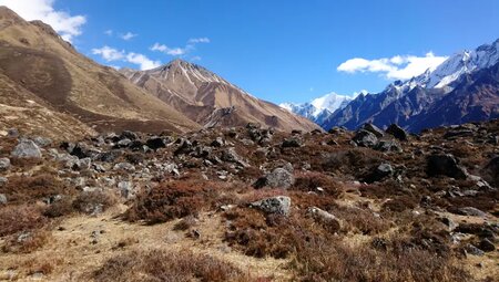 Nepal – Langtang und Helambu Lodge-Trek