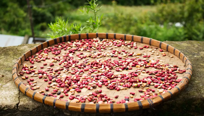 Nepal – Climate Trek Helambu