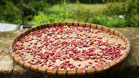 Nepal – Trekking für Einsteiger im Helambu